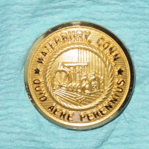 Pattern #16880 – Waterbury City Seal